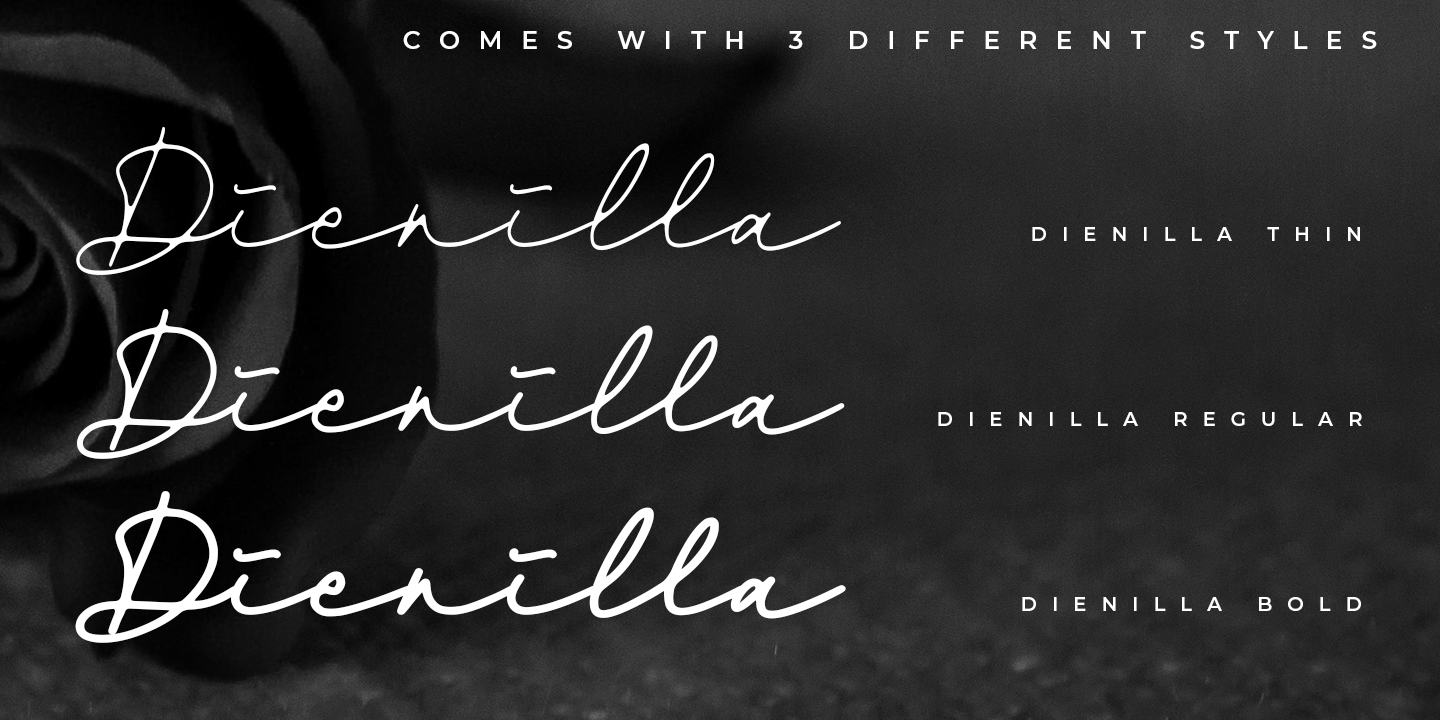 Example font Dienilla #2